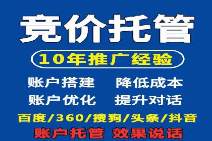 SEM托管公司案例分析：数据驱动决策